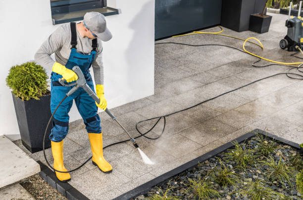 Best Pressure Washing Driveway  in Silver Firs, WA